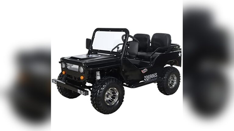 Best Atv Battery Reviews