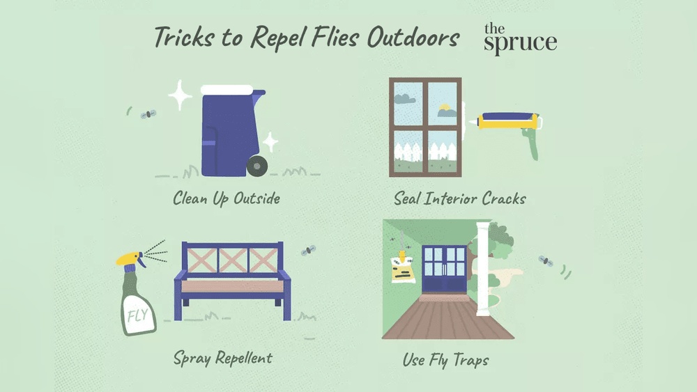 How to Get Flies Out of Garage