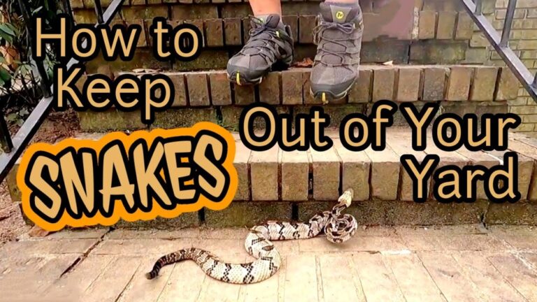 How to Get Rid of Snakes in Garage