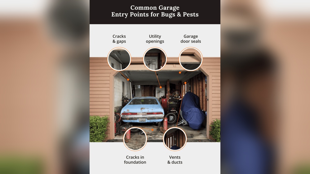 How to Keep Bugs Out of Garage