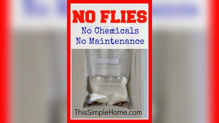 How to Keep Flies Out of Garage