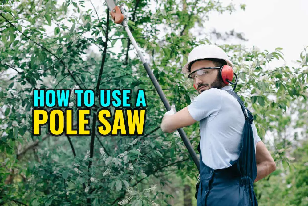How To Use A Pole Saw